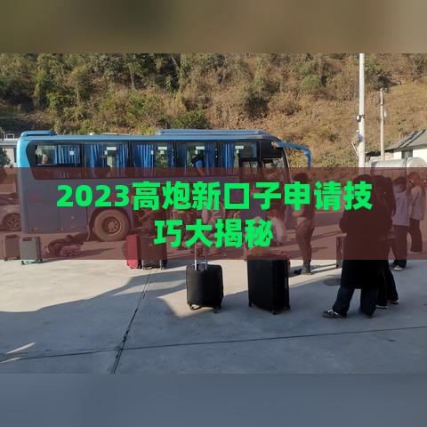 2023高炮新口子申请技巧大揭秘