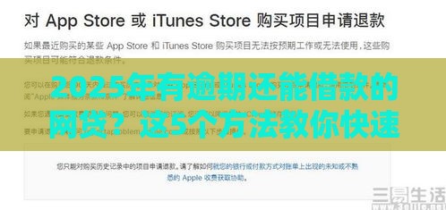 2025年有逾期还能借款的网贷？这5个方法教你快速解决资金难题