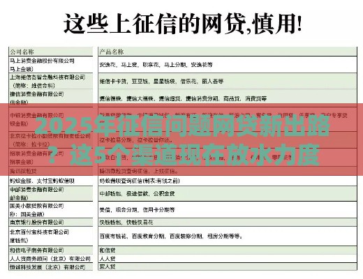 2025年征信问题网贷新出路？这5个渠道现在放水力度大！