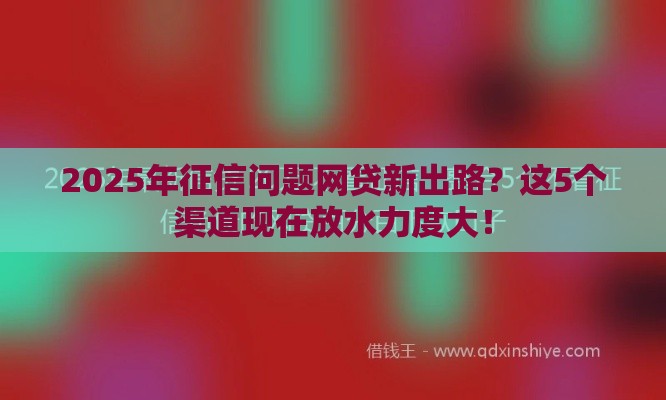 2025年征信问题网贷新出路？这5个渠道现在放水力度大！