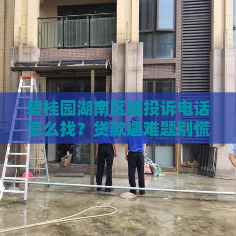 碧桂园湖南区域投诉电话怎么找？贷款遇难题别慌！试试这些方法