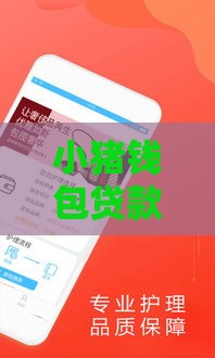 小猪钱包贷款口子简化流程靠谱吗？手把手教你快速下款攻略