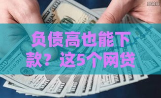 负债高也能下款？这5个网贷通过率高可试试