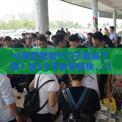 小额贷款哪个口子容易下款？这5个平台审核快、门槛低！