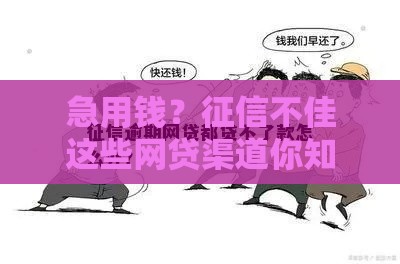 急用钱？征信不佳这些网贷渠道你知道吗？