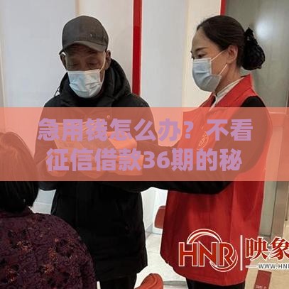 急用钱怎么办？不看征信借款36期的秘密原来还能这样操作！