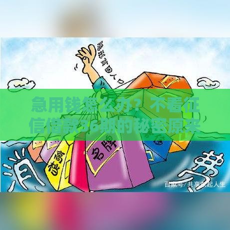 急用钱怎么办？不看征信借款36期的秘密原来还能这样操作！