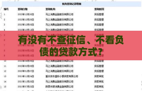 有没有不查征信、不看负债的贷款方式？