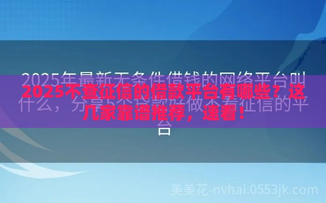 2025不查征信的借款平台有哪些？这几家靠谱推荐，速看！