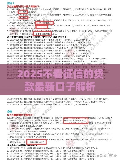 2025不看征信的贷款最新口子解析