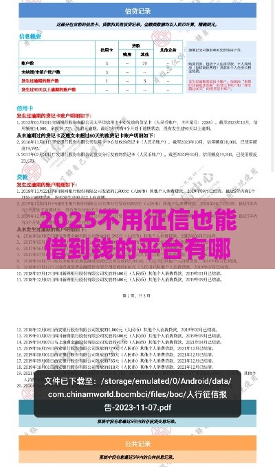 2025不用征信也能借到钱的平台有哪些？（附避坑指南）