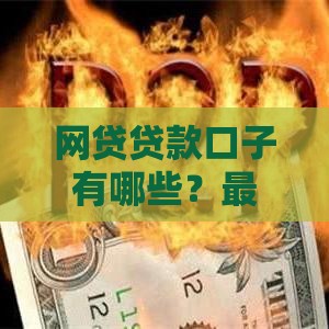 网贷贷款口子有哪些？最新靠谱平台大盘点！