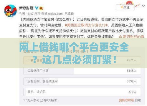 网上借钱哪个平台更安全?这几点必须盯紧! 网上借钱哪个平台更安全?这几点必须盯紧!
