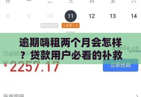逾期嗨租两个月会怎样？贷款用户必看的补救攻略