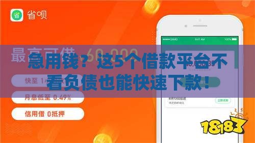 急用钱？这5个借款平台不看负债也能快速下款！