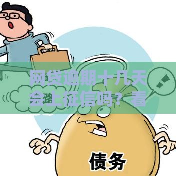 网贷逾期十几天会上征信吗？看完这篇就懂了！