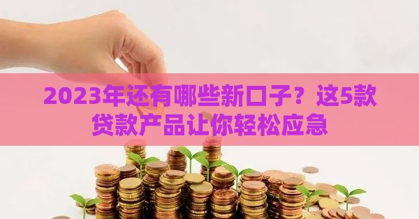 2023年还有哪些新口子？这5款贷款产品让你轻松应急