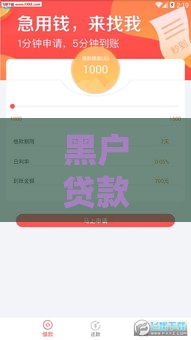 黑户贷款下款渠道实测经验分享