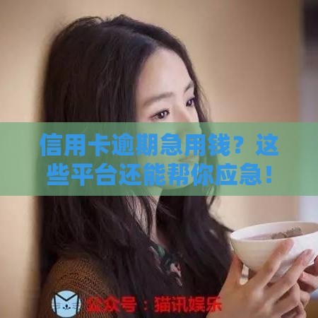 信用卡逾期急用钱？这些平台还能帮你应急！
