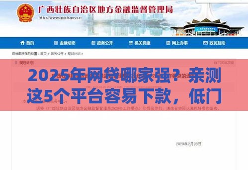 2025年网贷哪家强？亲测这5个平台容易下款，低门槛必看！