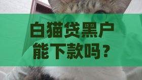 白猫贷黑户能下款吗？这3点必须提前搞懂！