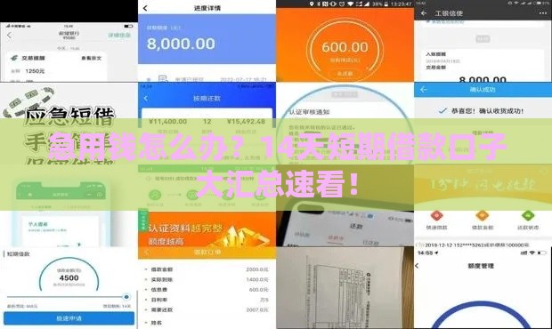 急用钱怎么办？14天短期借款口子大汇总速看！
