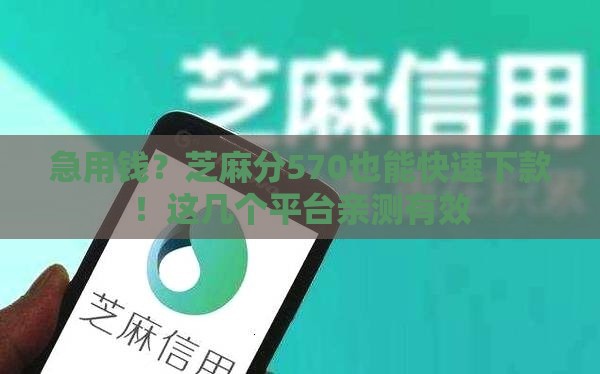 急用钱？芝麻分570也能快速下款！这几个平台亲测有效