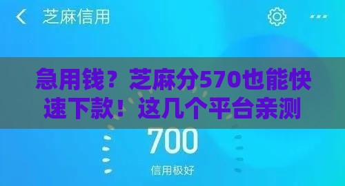 急用钱？芝麻分570也能快速下款！这几个平台亲测有效