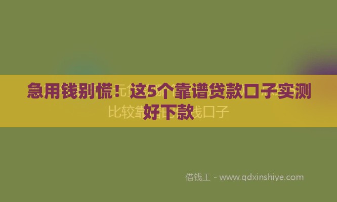 急用钱别慌！这5个靠谱贷款口子实测好下款