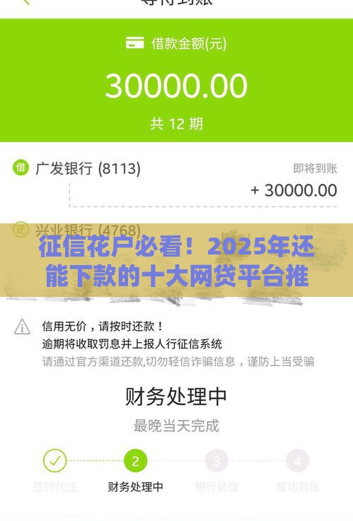 征信花户必看！2025年还能下款的十大网贷平台推荐