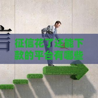征信花了还能下款的平台有哪些？试试这几个靠谱渠道！