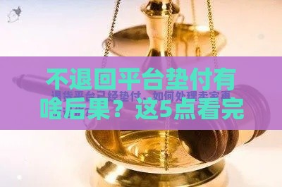 不退回平台垫付有啥后果？这5点看完直冒冷汗