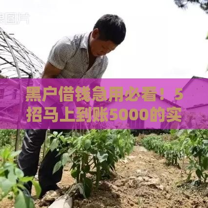 黑户借钱急用必看！5招马上到账5000的实用攻略