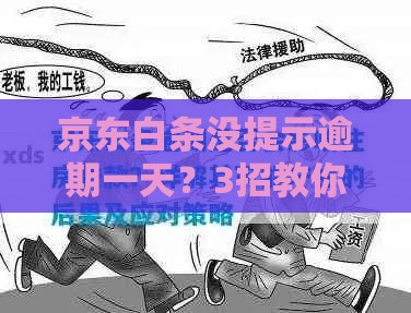 京东白条没提示逾期一天？3招教你补救防征信坑