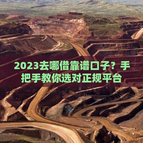 2023去哪借靠谱口子？手把手教你选对正规平台