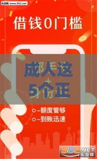 成人这5个正规贷款口子靠谱又省心