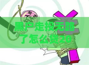 黑户走投无路了怎么贷20万？试试这几个救急方法！