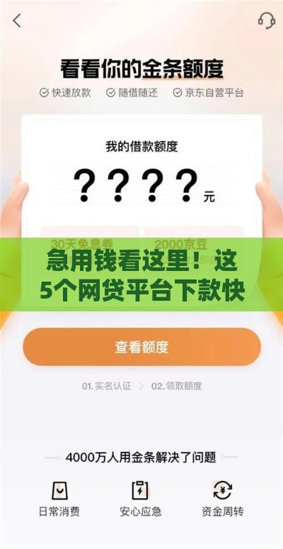 急用钱看这里！这5个网贷平台下款快、操作简单，教你避开坑
