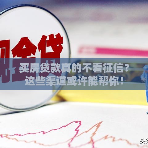 买房贷款真的不看征信？这些渠道或许能帮你！