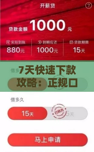7天快速下款攻略：正规口子贷款平台大全