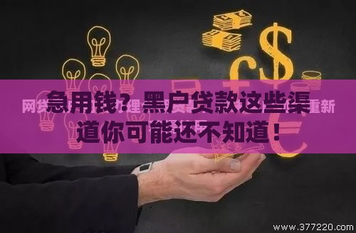 急用钱？黑户贷款这些渠道你可能还不知道！