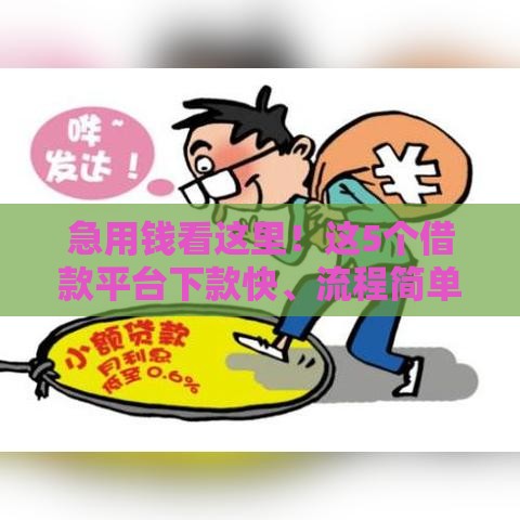 急用钱看这里！这5个借款平台下款快、流程简单
