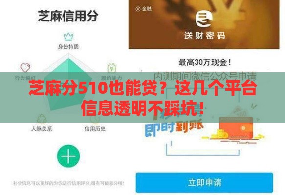 芝麻分510也能贷？这几个平台信息透明不踩坑！