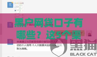 黑户网贷口子有哪些？这5个渠道能下款！避坑必看