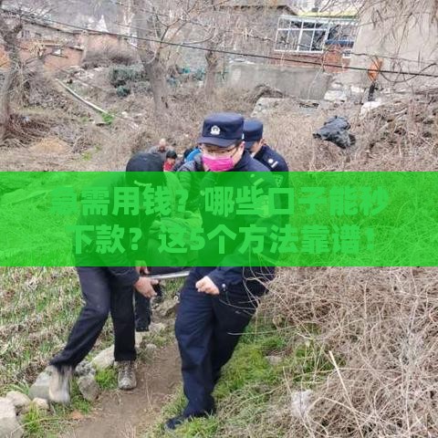 急需用钱？哪些口子能秒下款？这5个方法靠谱！
