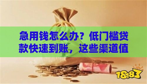 急用钱怎么办？低门槛贷款快速到账，这些渠道值得试试！