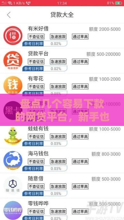 盘点几个容易下款的网贷平台,新手也能快速申请 盘点几个容易下款的网贷平台,新手也能快速申请