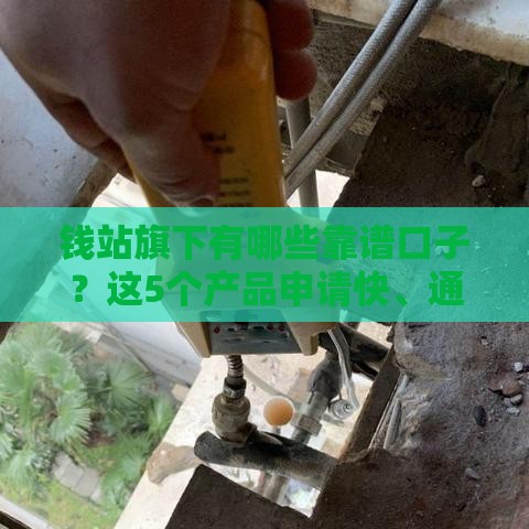 钱站旗下有哪些靠谱口子？这5个产品申请快、通过率高！