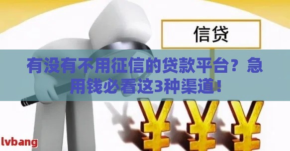 有没有不用征信的贷款平台？急用钱必看这3种渠道！