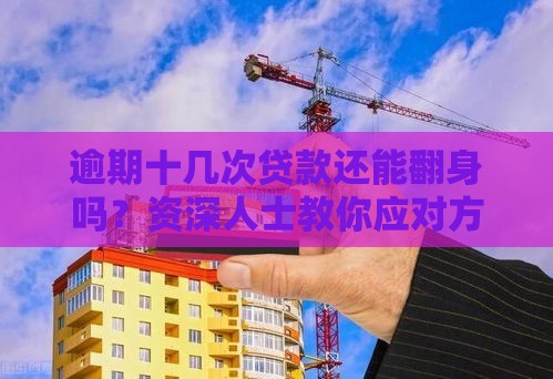 逾期十几次贷款还能翻身吗？资深人士教你应对方法